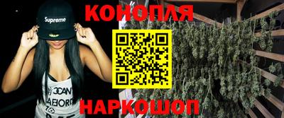 apvp Можга
