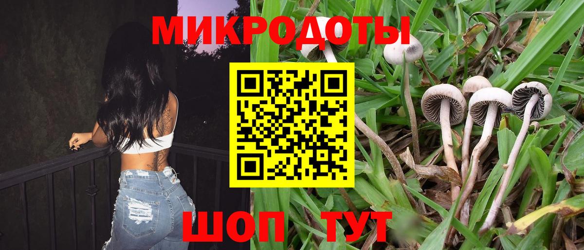 Метадон Топки