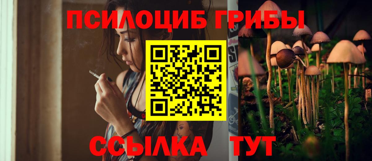 Галлюциногенные грибы Cubensis Топки