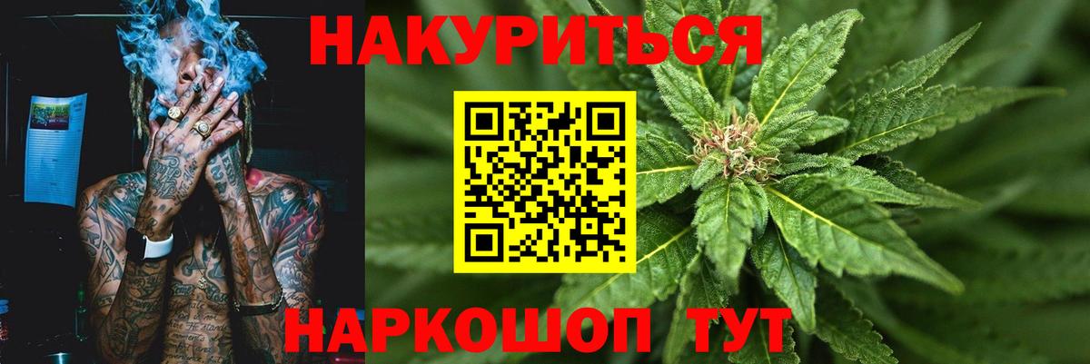 Конопля сатива Топки